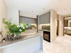 Amber House (D15), Apartment #585060051